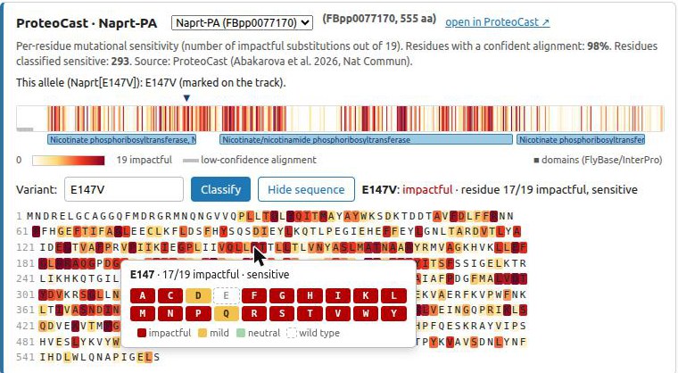 Allele page for Naprt[E147V], with the colour-coded sequence and the substitutions at residue 147