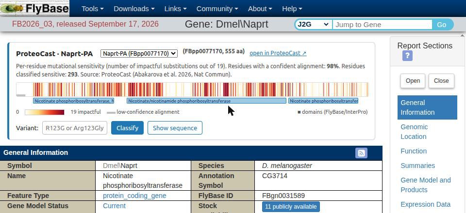 The ProteoCast panel at the top of the FlyBase gene report for Naprt