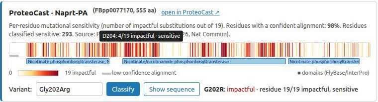 Variant box classifying Gly202Arg in Naprt-PA as impactful